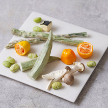 画像をギャラリービューアに読み込む, 【Happy Woman 2026】ホワイトティー オーデプランツ&ドライベジタブルのギフトセット