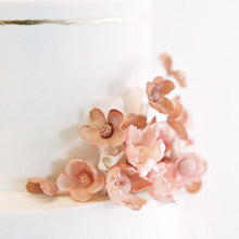 画像をギャラリービューアに読み込む, ル・スパ・パリジエン「ブライダルスパ」お支払い専用ページ