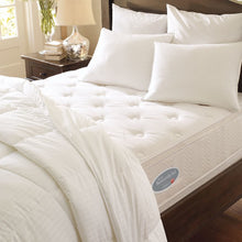 画像をギャラリービューアに読み込む, コンフォーター