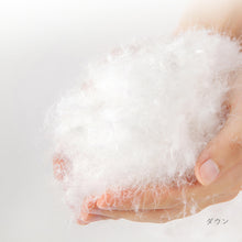 画像をギャラリービューアに読み込む, コンフォーター