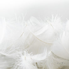 画像をギャラリービューアに読み込む, ピロー(ダウン&フェザー または ポリエステル綿)