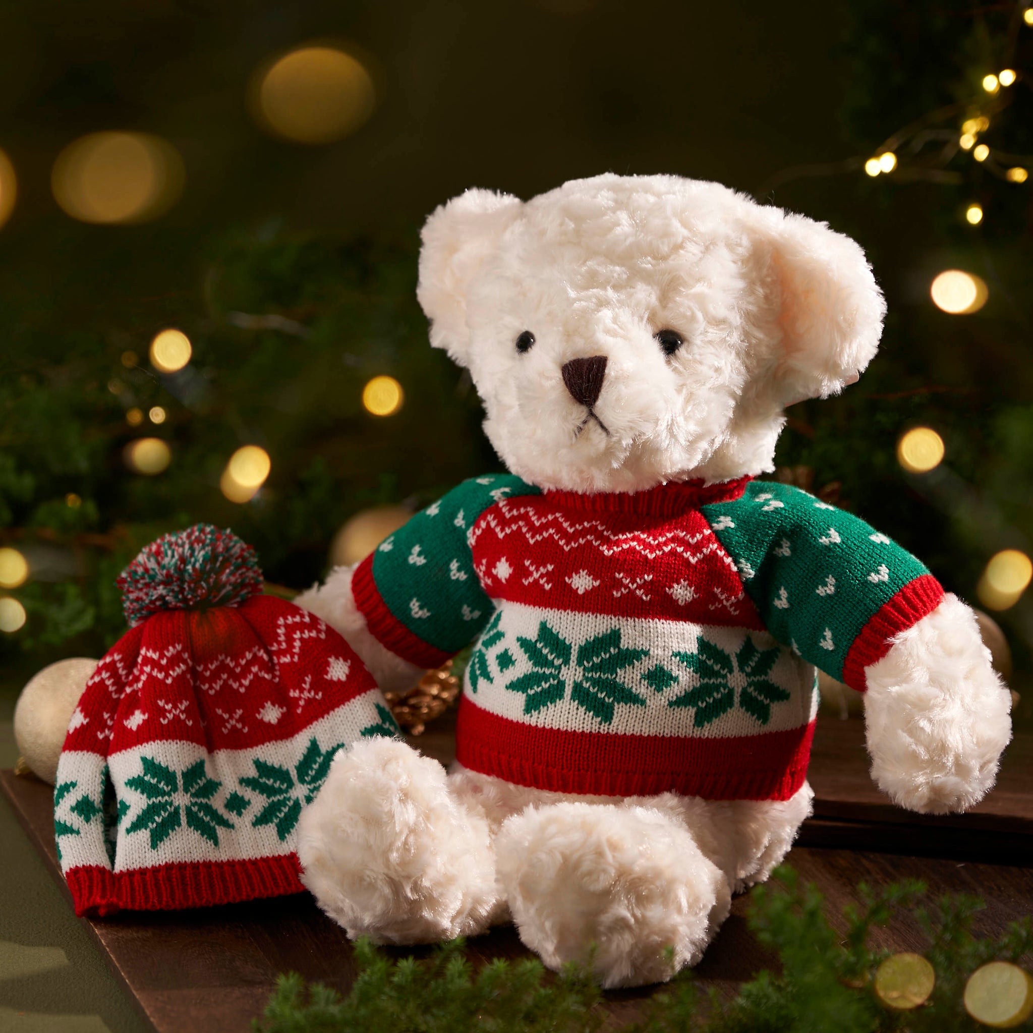 完売・80組限定】2025チャリティーアニマル ＆ Meet サンタクロースat