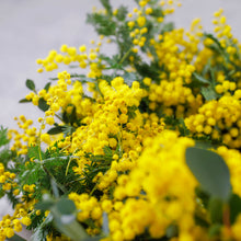 画像をギャラリービューアに読み込む, 【予約受付中】ミモザリース チャリティーワークショップ 3月4日(水)
